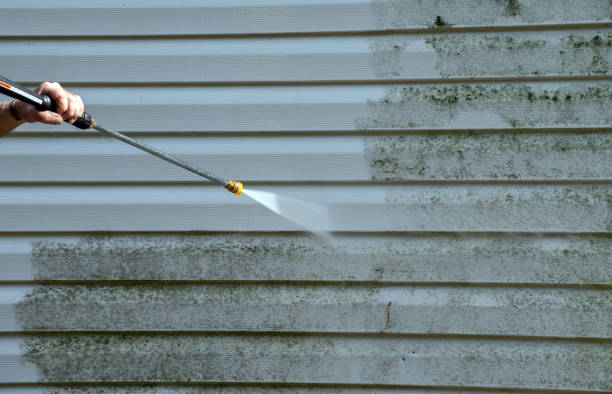 Best Gutter Cleaning  in Buckeystown, MD